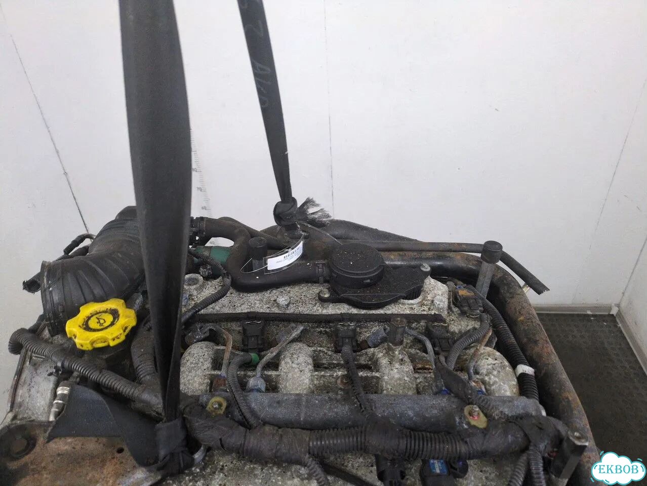 Двигатель Ford Fiesta FXJ фото 6