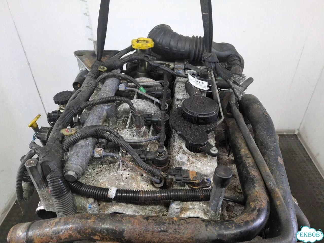 Двигатель Ford Fiesta FXJ фото 7