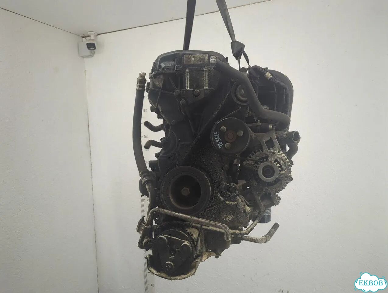 Двигатель Ford Focus 2 qqdb фото 1