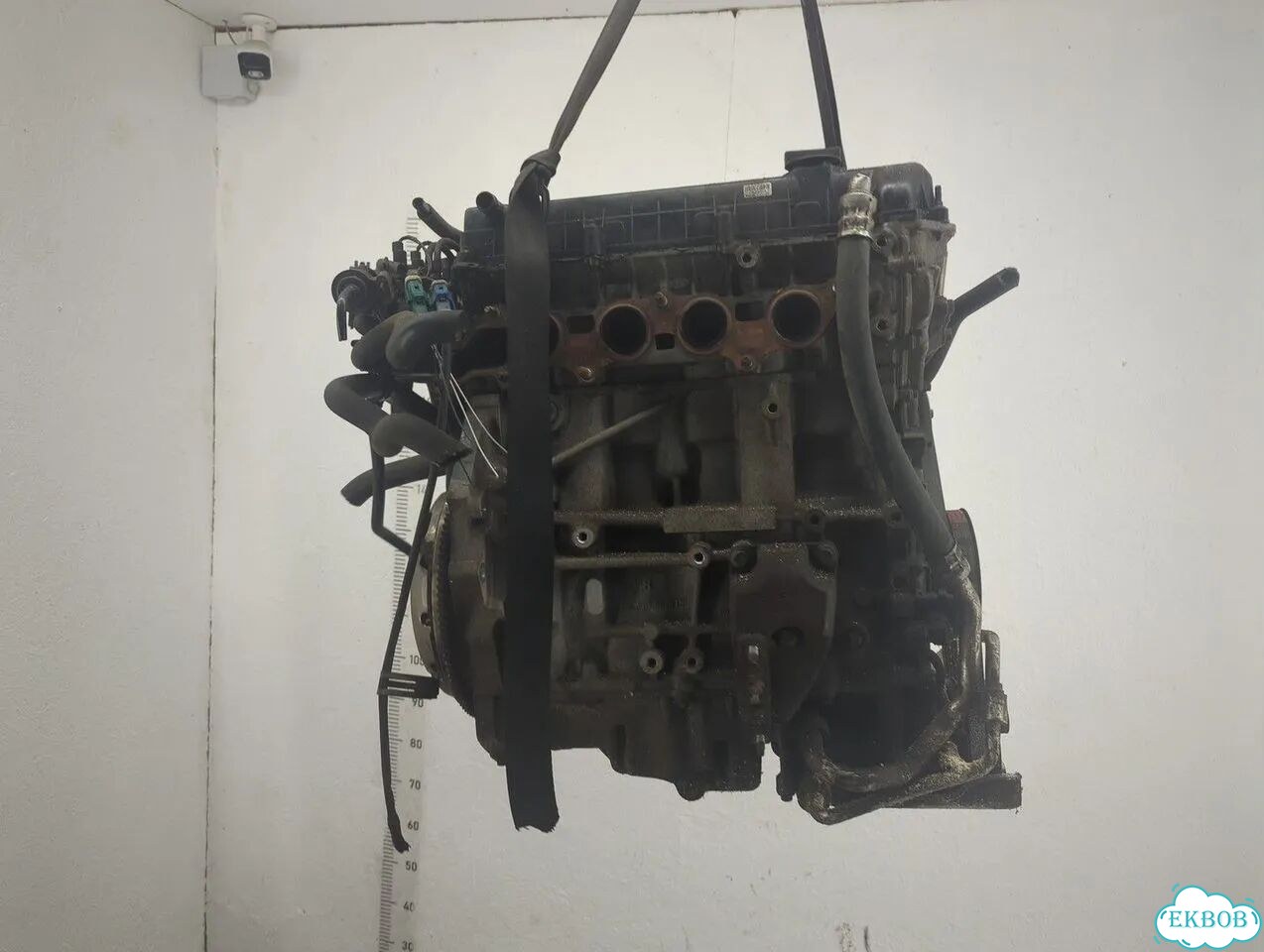 Двигатель Ford Focus 2 qqdb фото 3