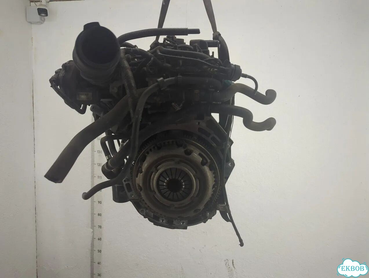 Двигатель Ford Focus 2 qqdb фото 4
