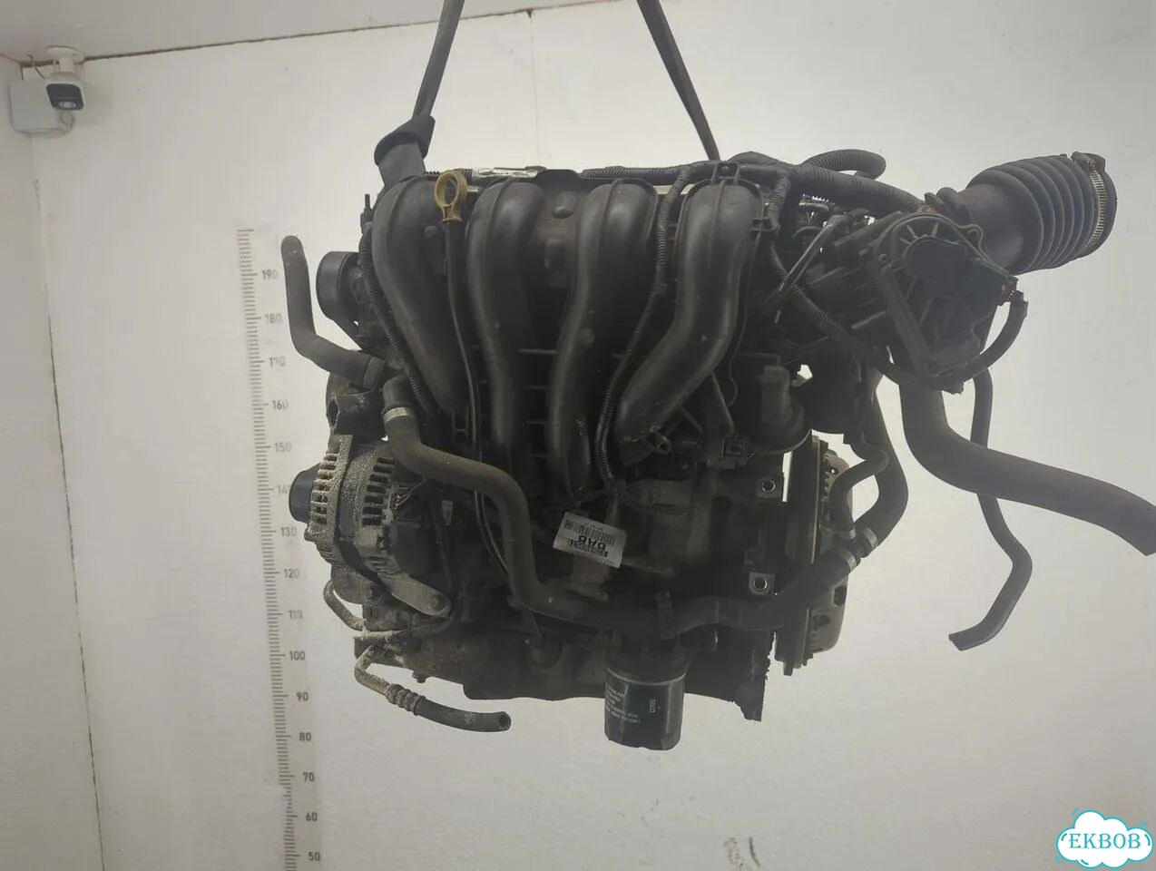 Двигатель Ford Focus 2 qqdb фото 5