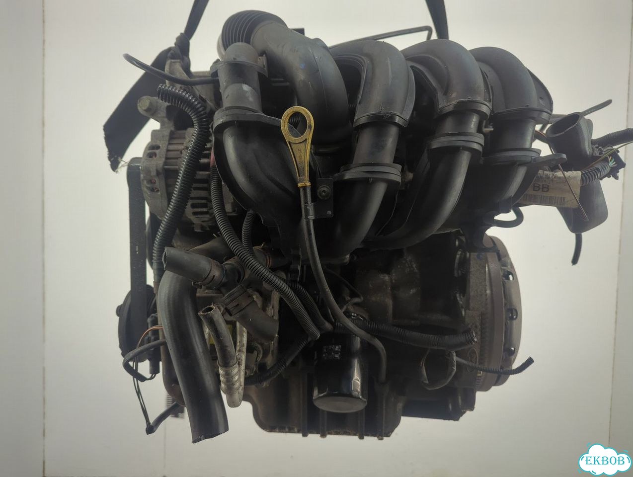 Двигатель Ford Fusion fyja, fyjb, fyjc фото 3