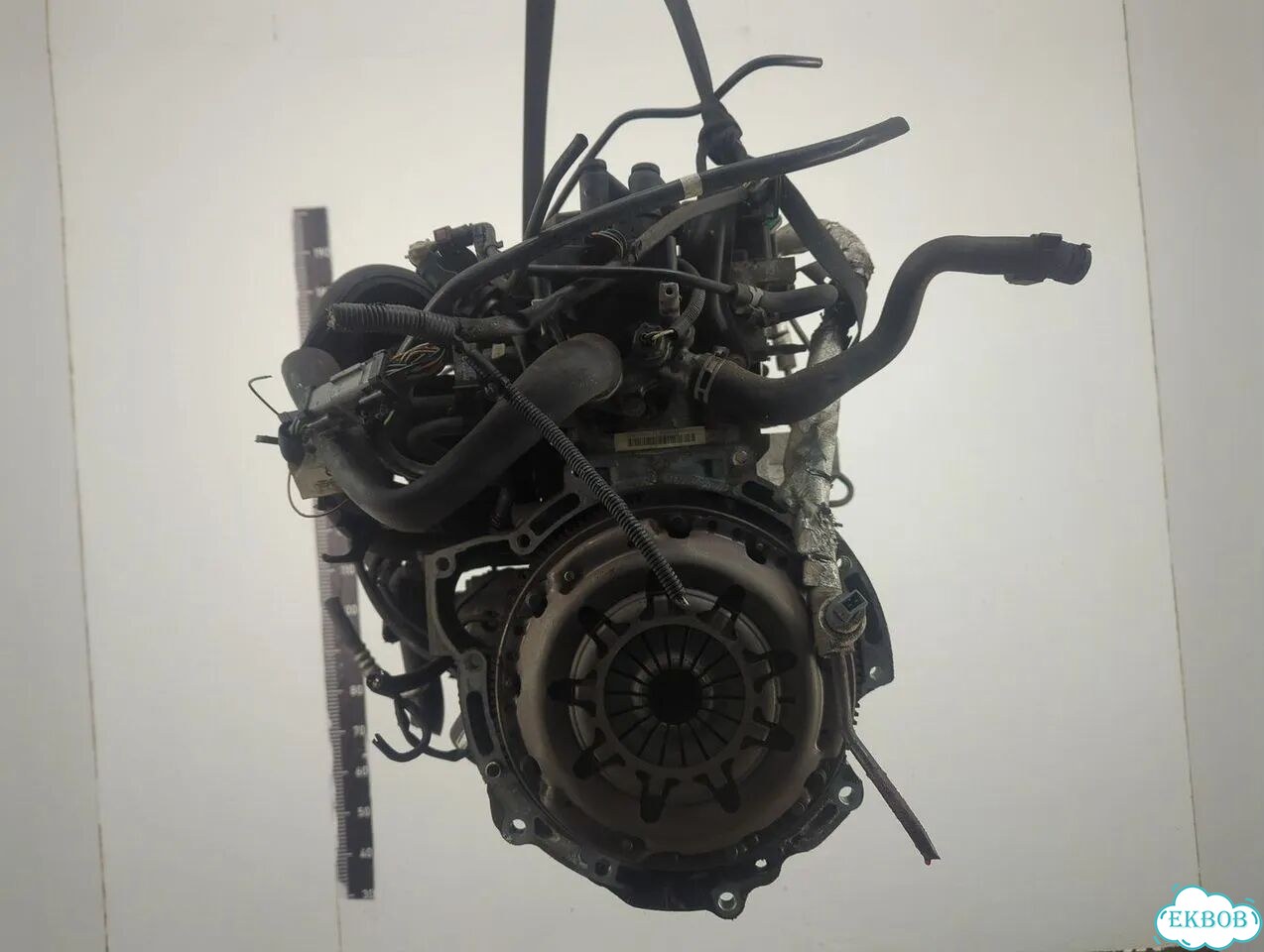 Двигатель Ford Fusion fyja, fyjb, fyjc фото 5
