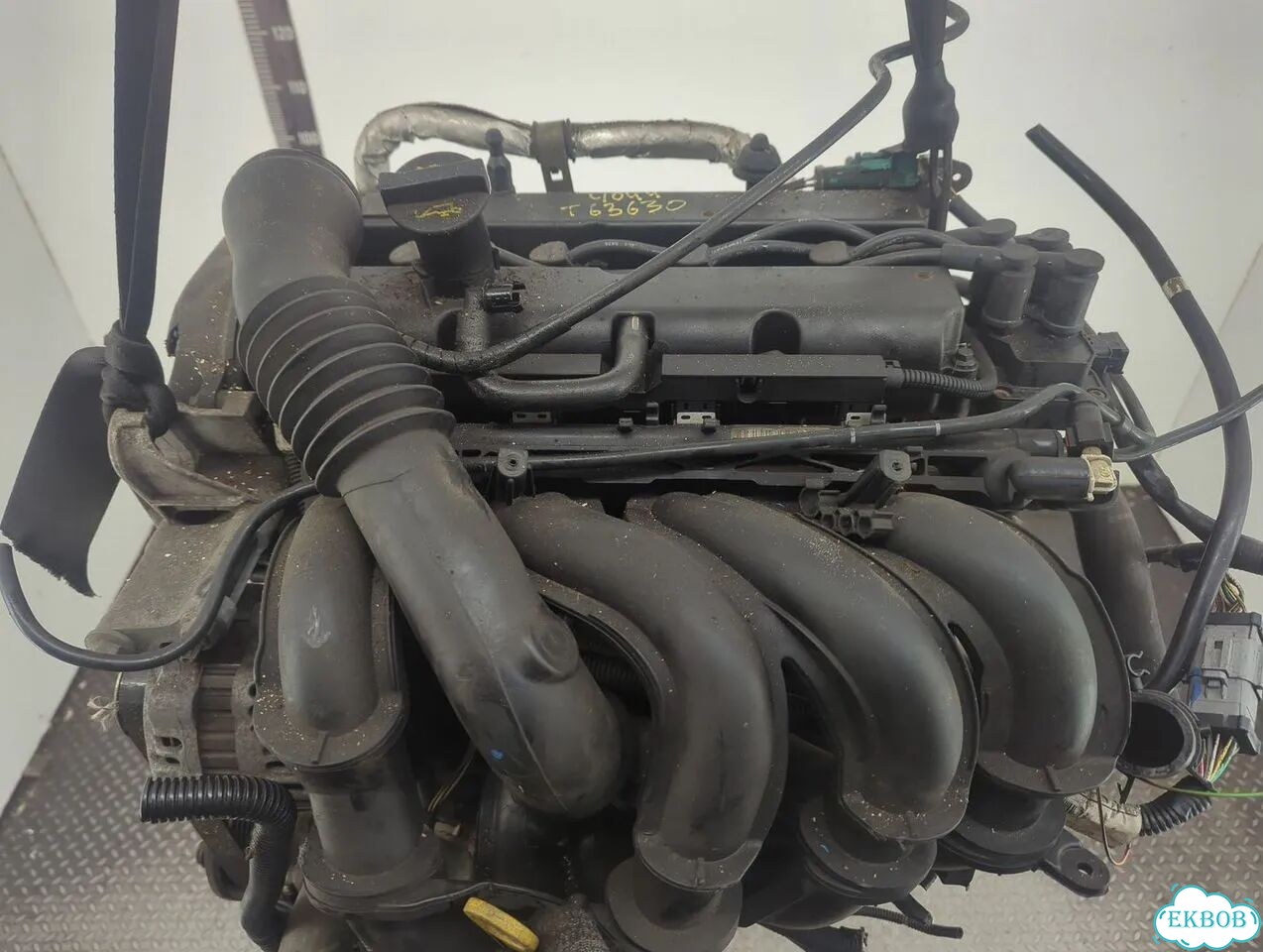 Двигатель Ford Fusion fyja, fyjb, fyjc фото 8