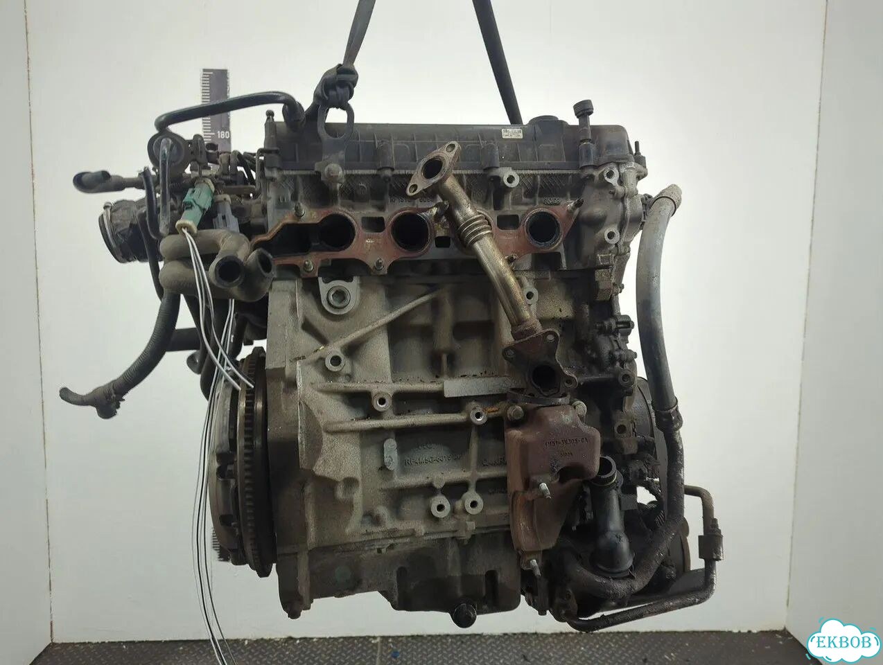 Двигатель Ford C-Max qqda, qqdb, qqdc фото 1