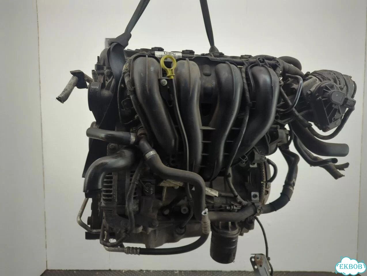 Двигатель Ford C-Max qqda, qqdb, qqdc фото 4