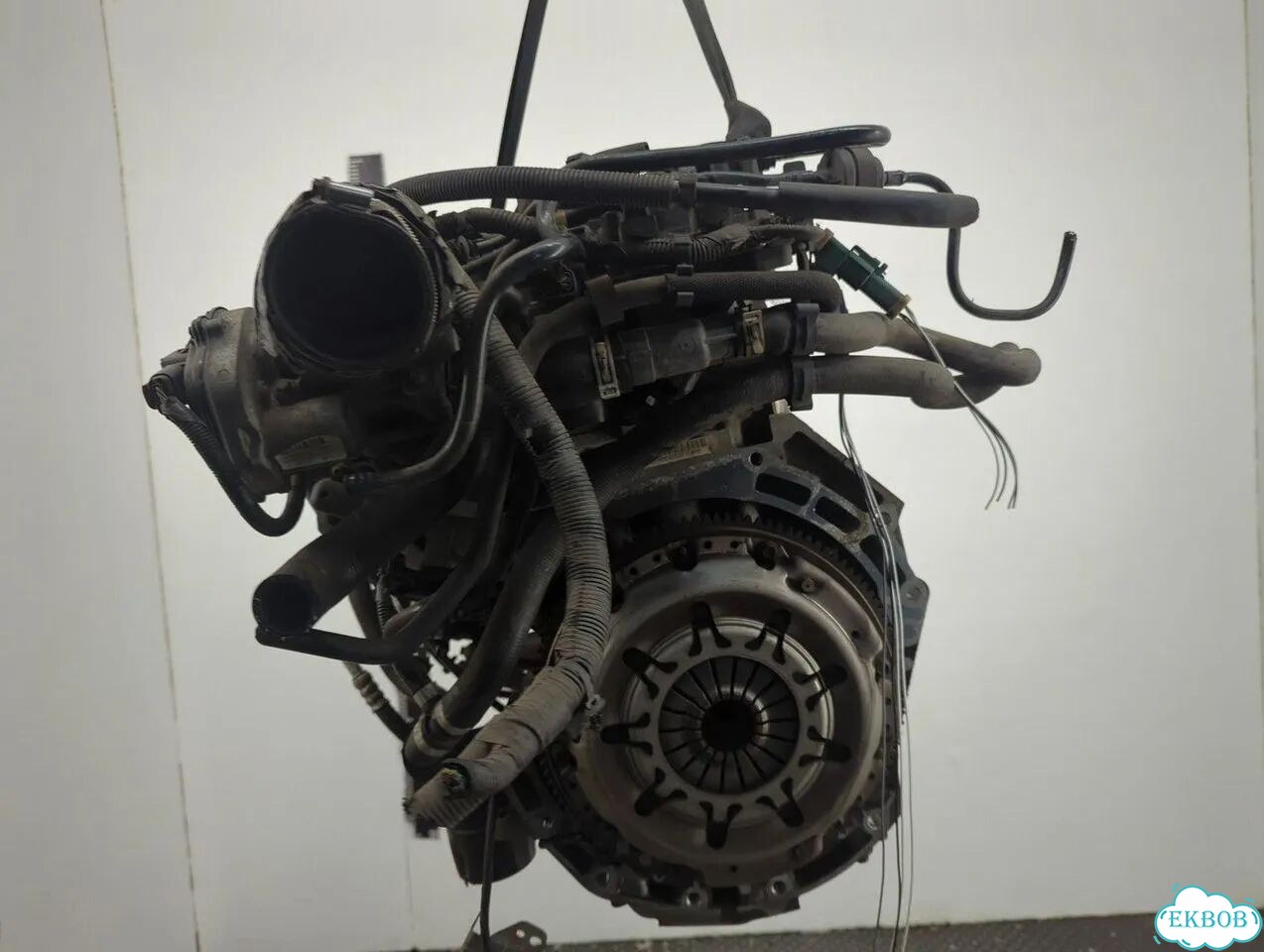 Двигатель Ford C-Max qqda, qqdb, qqdc фото 5