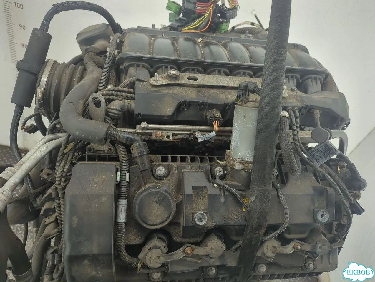 Двигатель BMW 7 E65 N62B48B фото 5