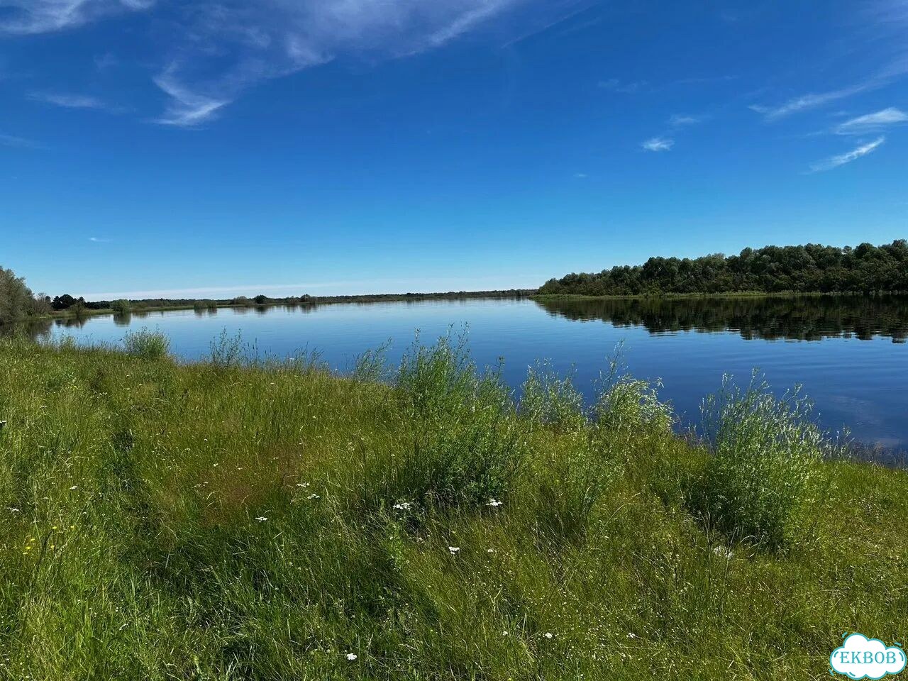 Дом 100 м² на участке 20 сот. фото 8
