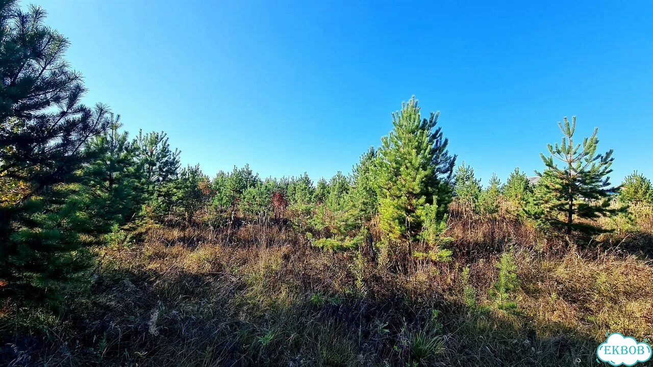 Участок 8 сот. (ИЖС) фото 2