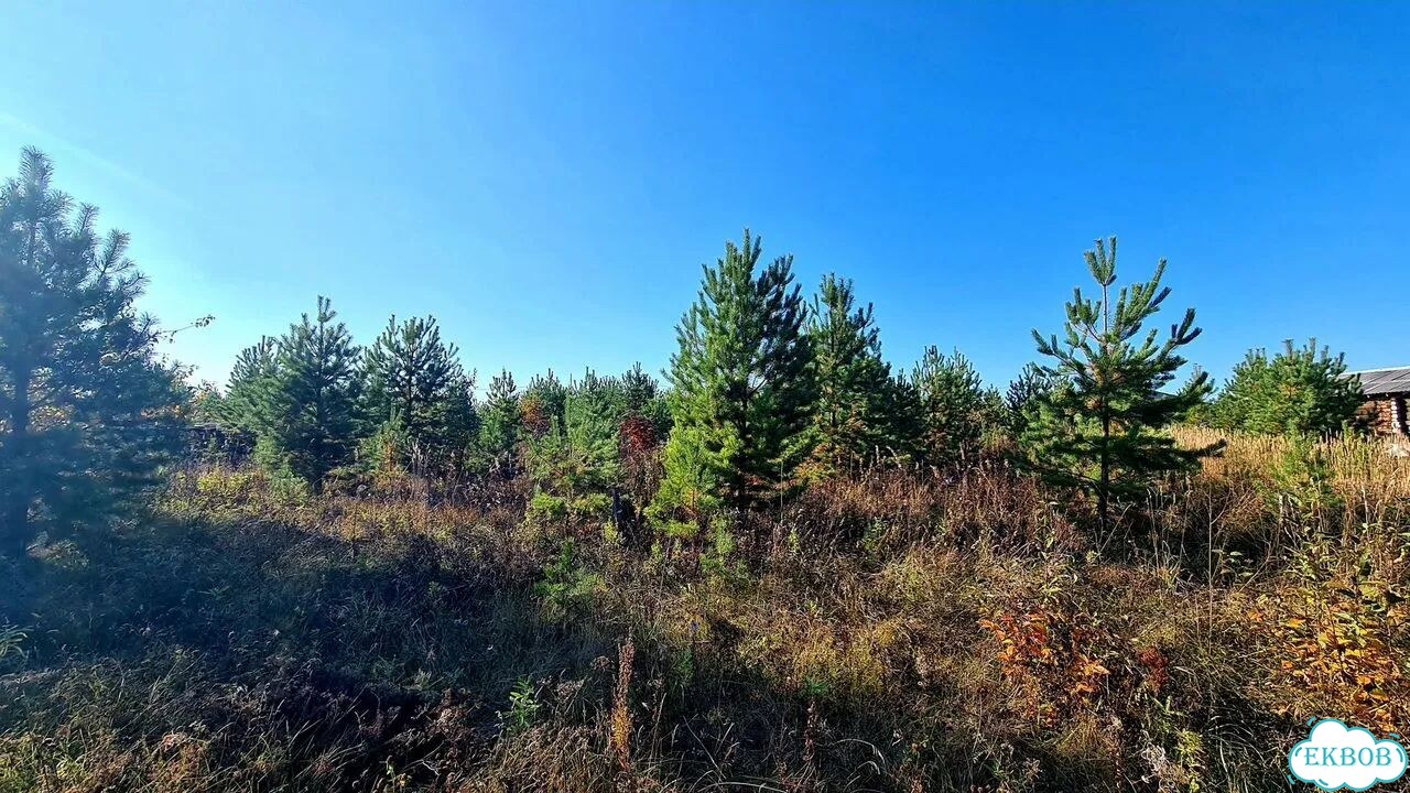 Участок 8 сот. (ИЖС) фото 3