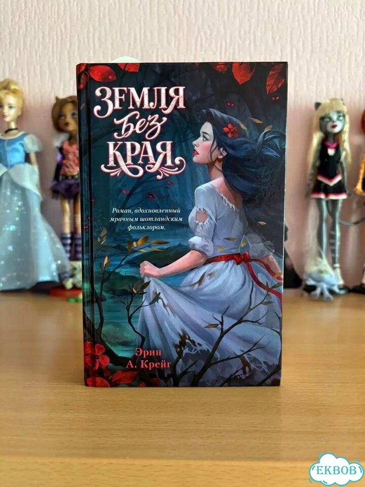 Книга «Земля без края» Эрин А. Крейг фото 1