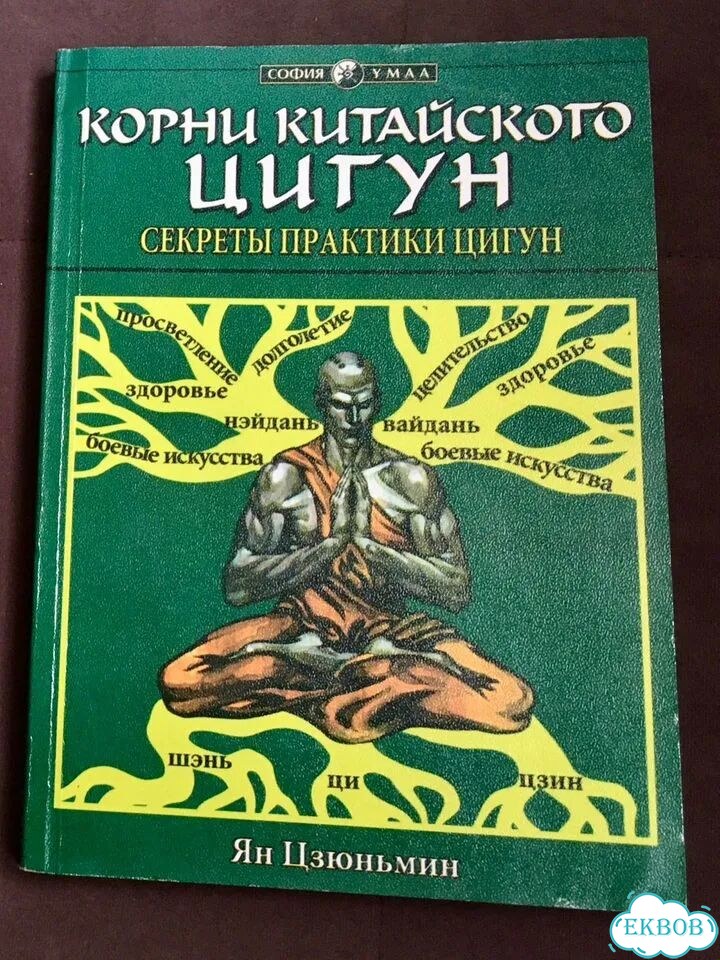 Ян Цзюньмин Корни китайского цигун фото 1