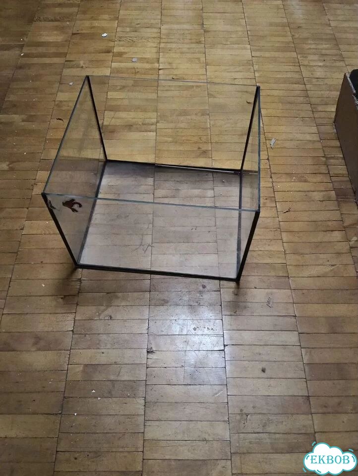 Аквариумные рыбки фото 1