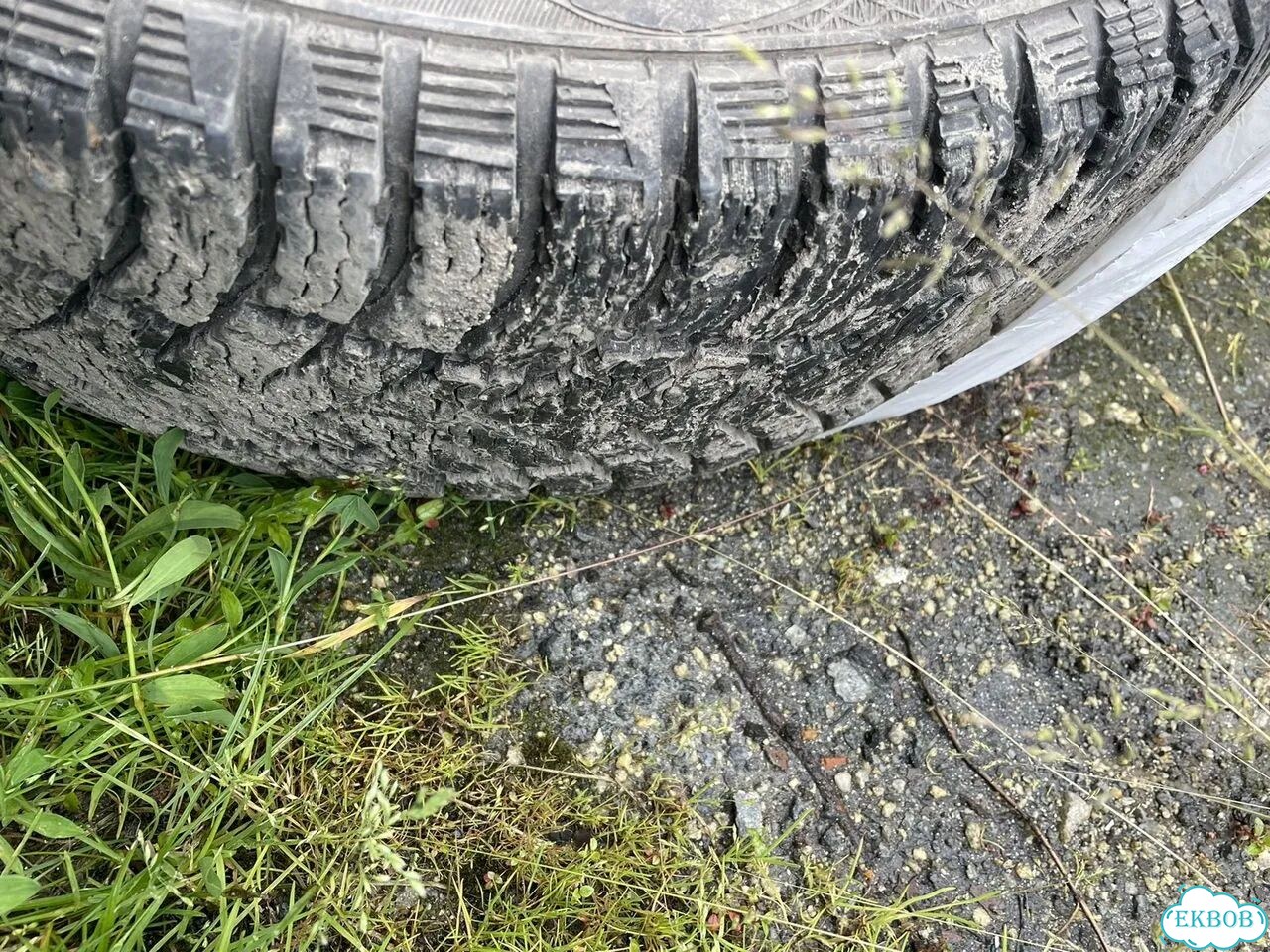 Cordiant Snow Cross 2 205/55 R16 фото 1