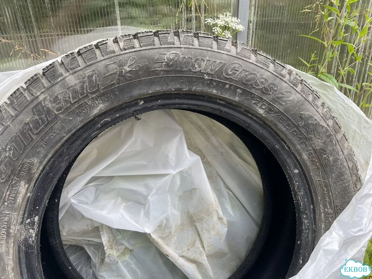 Cordiant Snow Cross 2 205/55 R16 фото 3