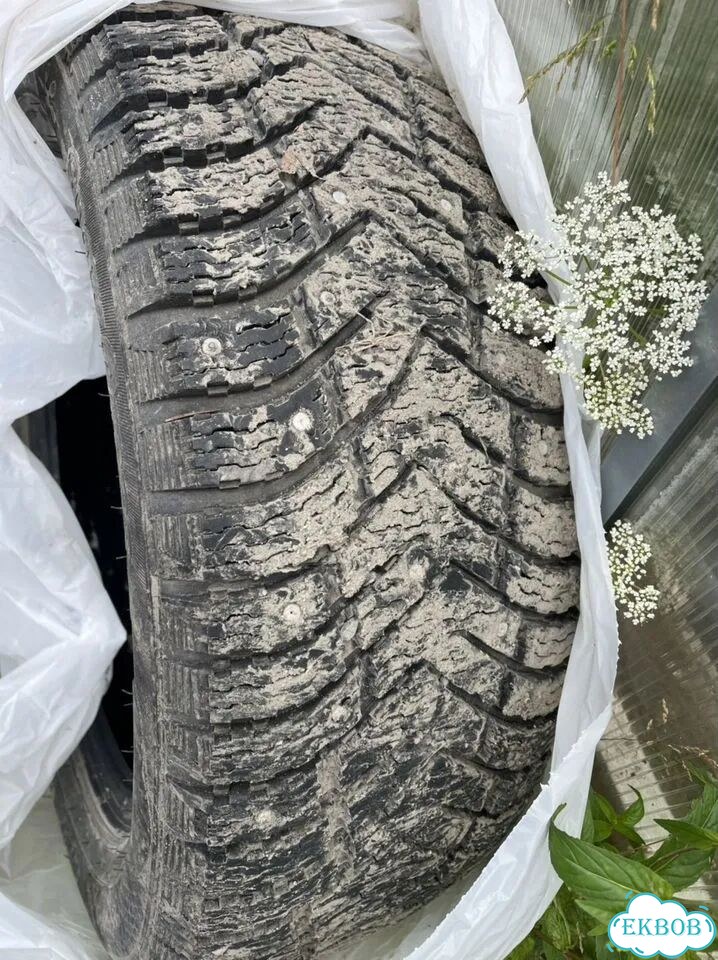 Cordiant Snow Cross 2 205/55 R16 фото 4