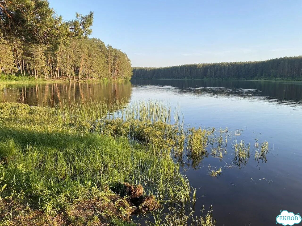 Прокат квадроциклов фото 4