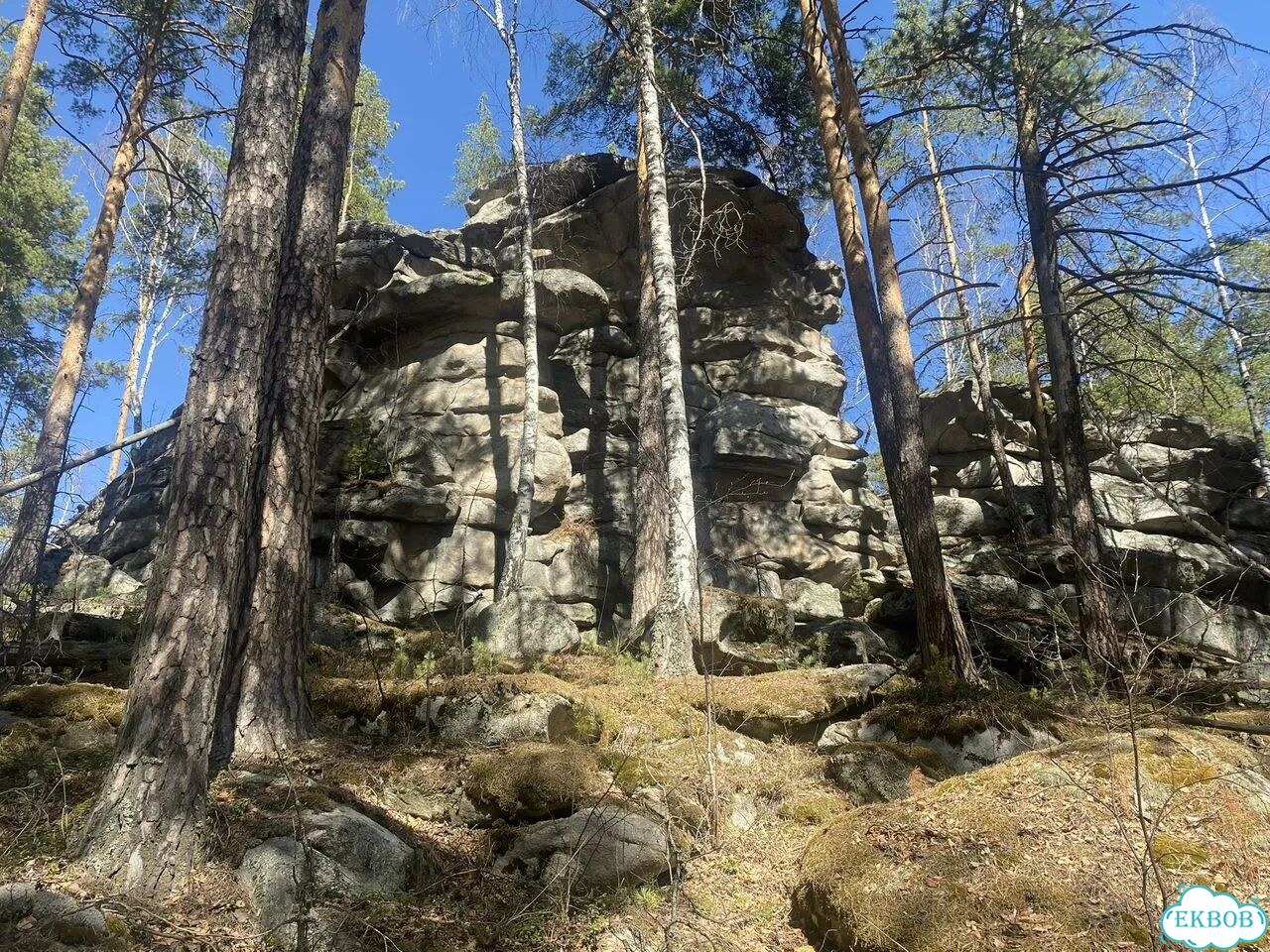 Прокат квадроциклов фото 6