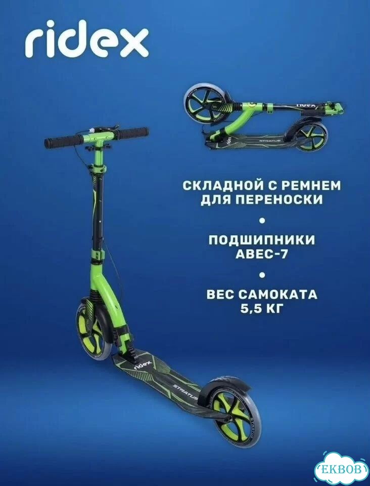 Самокат Ridex двухколесный с большими колесеми фото 1