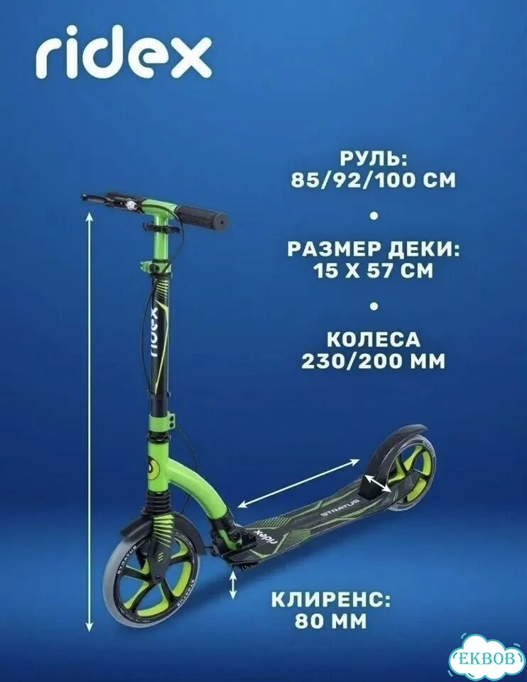 Самокат Ridex двухколесный с большими колесеми фото 2
