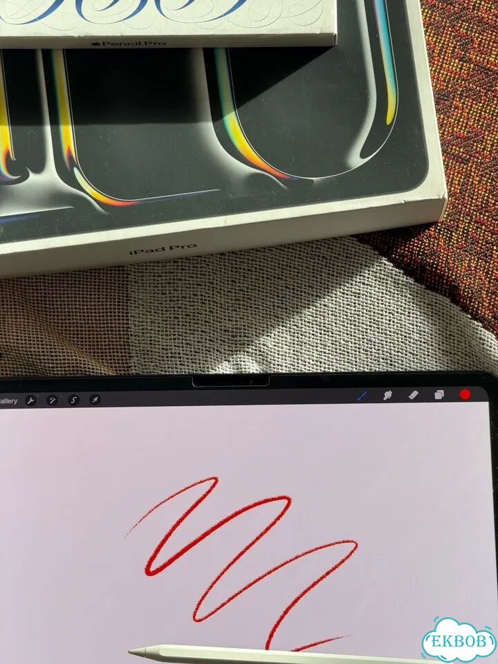 IКомплект Pad Pro 13 m4 256gb + Apple Pencil Pro фото 2