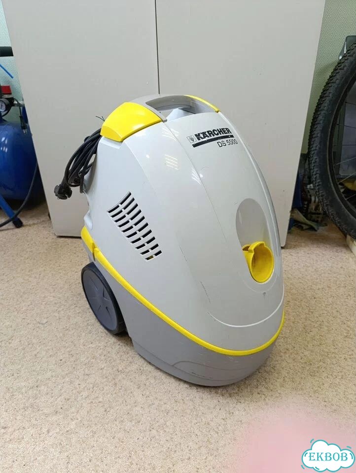 Пылесос Karcher DS 5500 фото 1