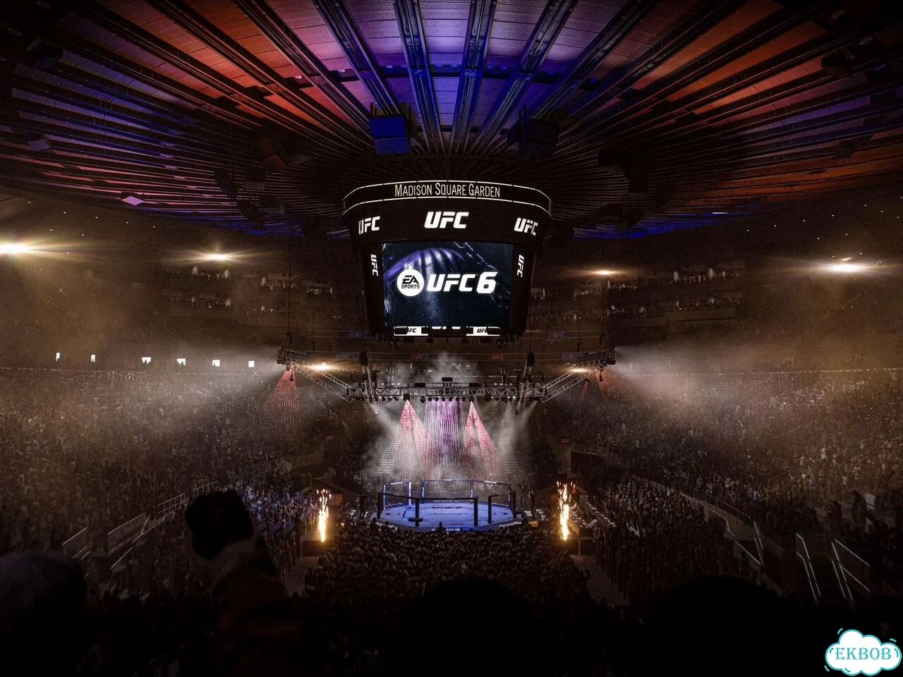 UFC 6 Ultimate PS5 & PS5 Pro фото 4