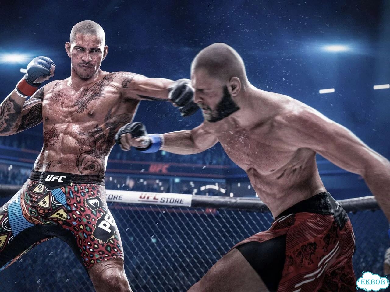UFC 6 Ultimate PS5 & PS5 Pro фото 5