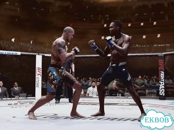 UFC 6 Ultimate PS5 & PS5 Pro фото 8