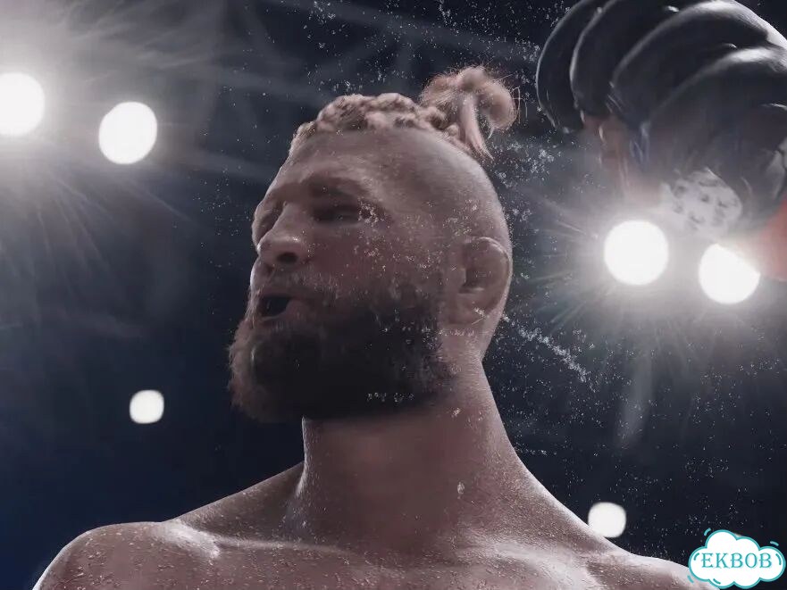 UFC 6 Ultimate PS5 & PS5 Pro фото 9
