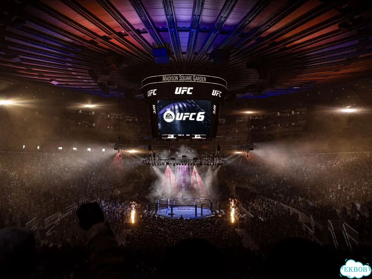 UFC 6 PS5 & PS5 Pro фото 4