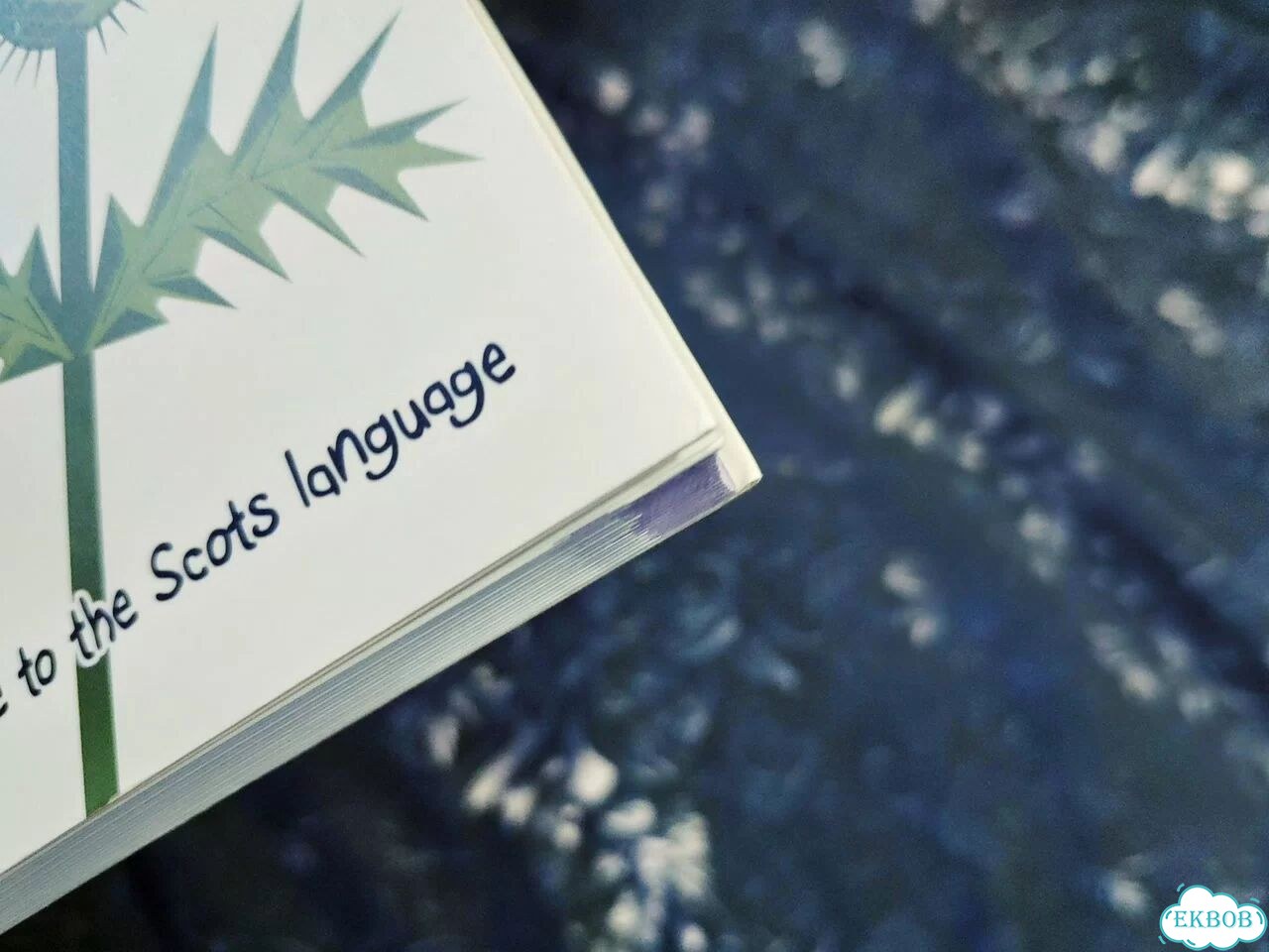The Perfect Wee Guide to the Scots Language фото 3