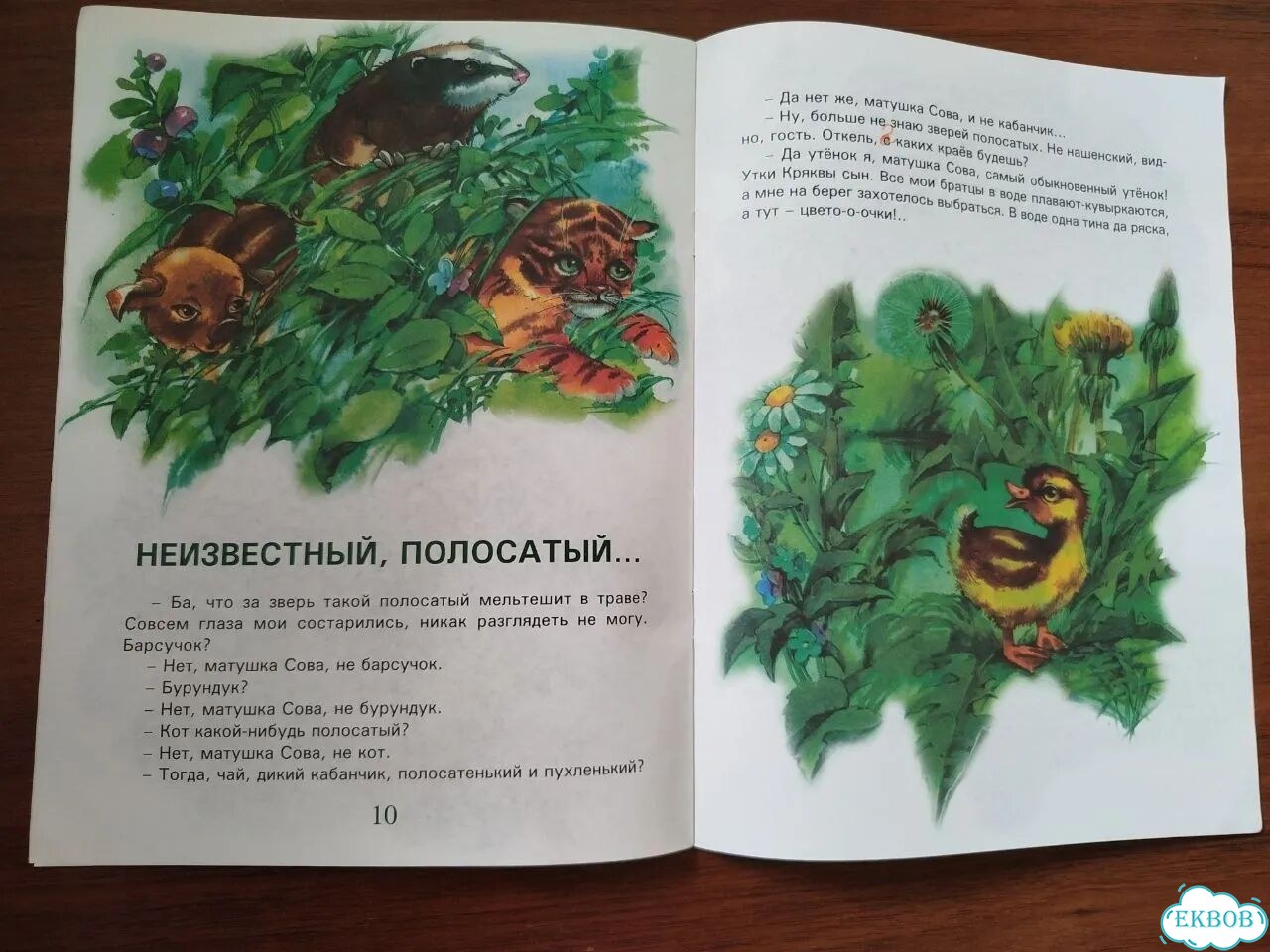 Детские книги и раскраски фото 3
