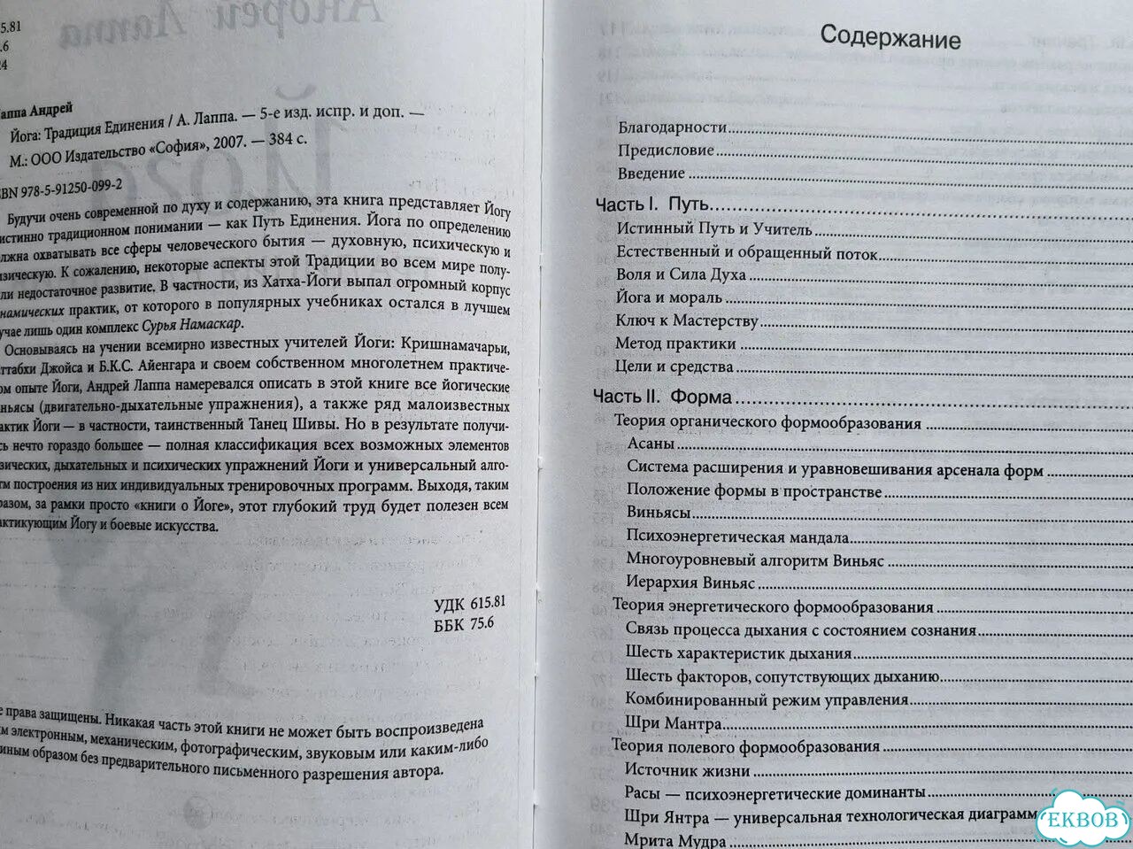 Йога. Традиция единения - А. Лаппа фото 3