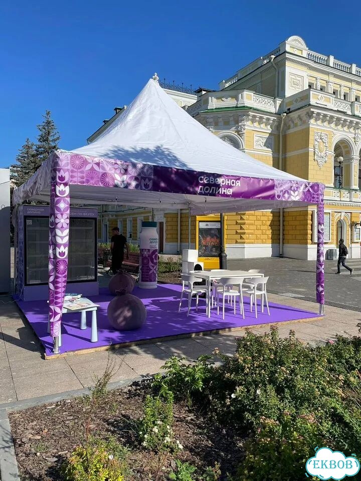 Шатер пагода профессиональный PRO 3х3 фото 5