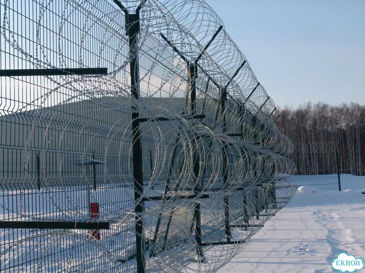 Егоза / акл / сбб фото 2