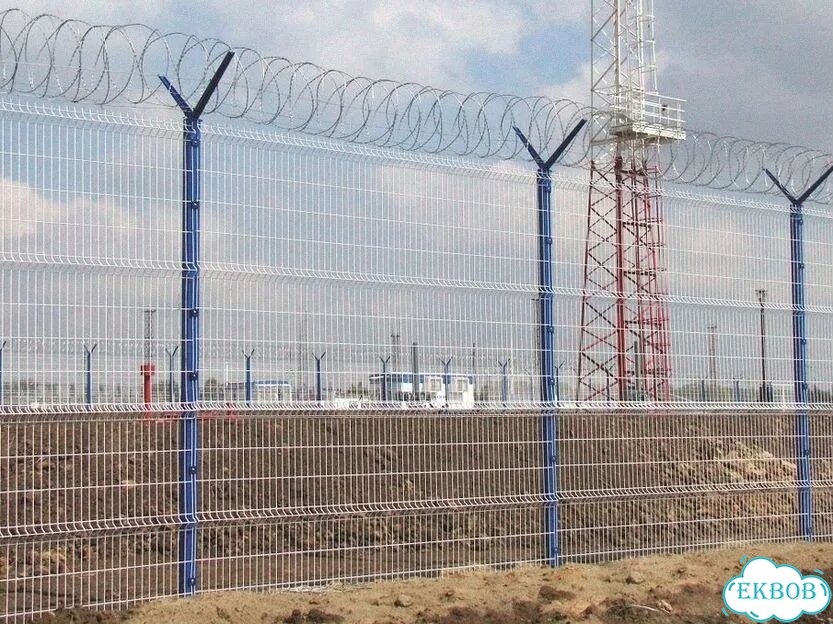 Егоза / акл / сбб фото 5