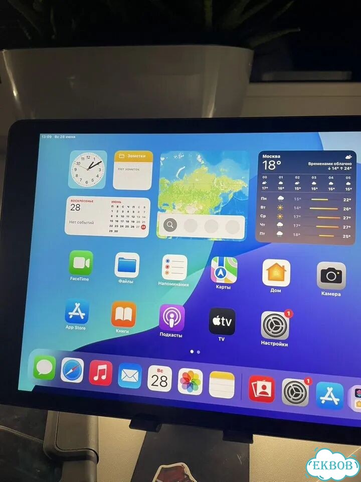 iPad 9 Wi-Fi 64gb Мега комплект фото 3
