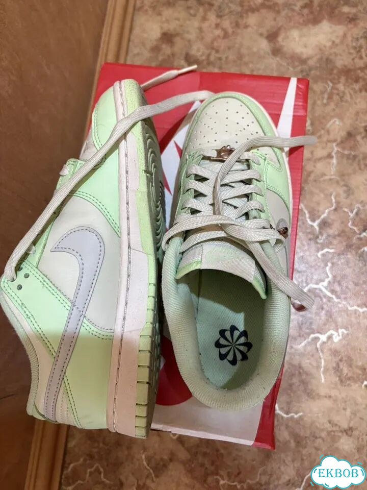Кеды Nike Dunk Low NN SE 5.5 фото 5