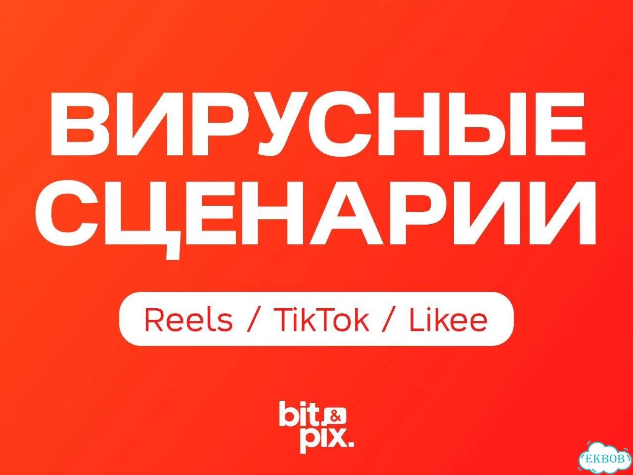 Сценарий вертикального видео — 1000+ просмотров гарантированно фото 1