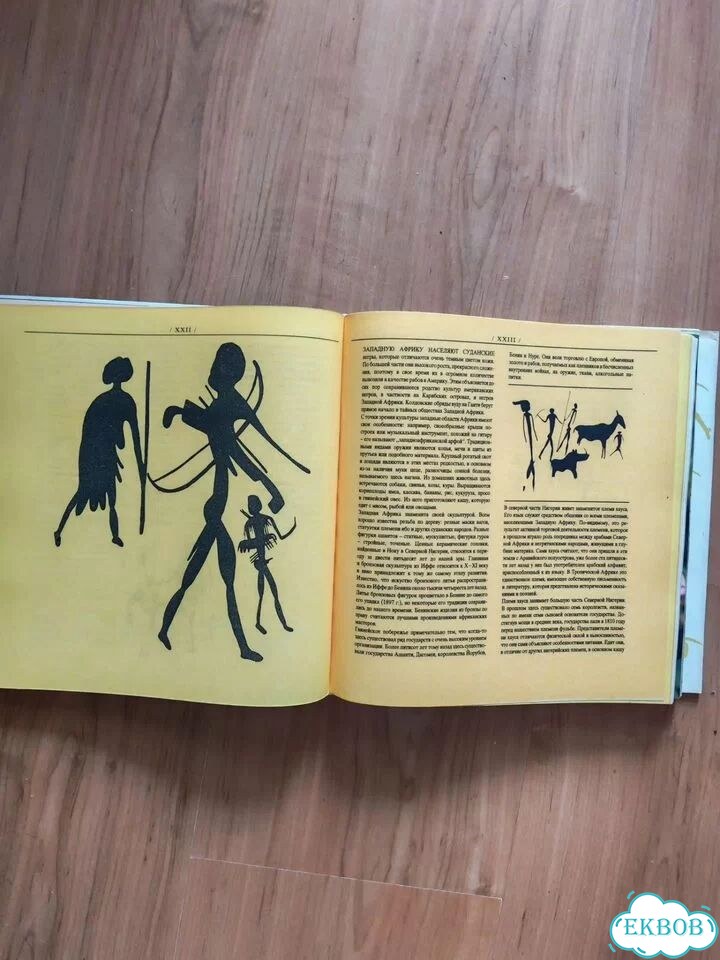 Книга царь зверей не лев фото 4
