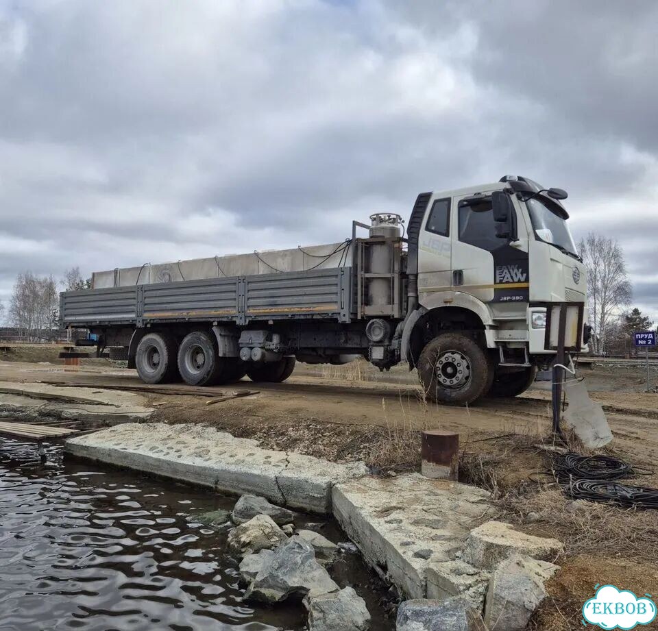 Живая рыба – сом клариевый (опт) фото 4