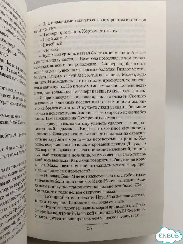 Братство меча Баутина Юлия фото 4