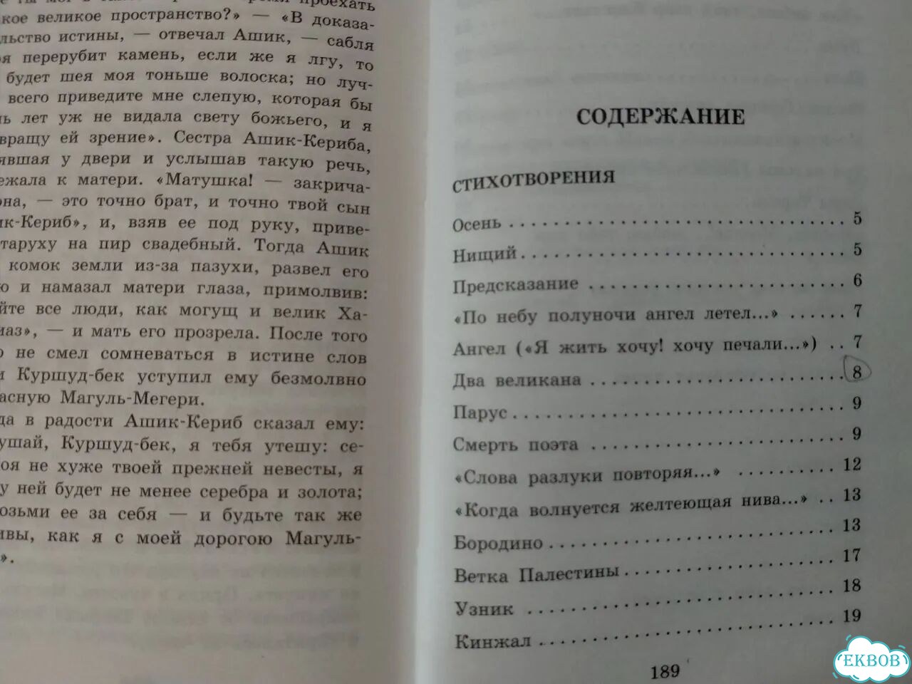 Лермонтов Стихотворения и поэмы фото 3