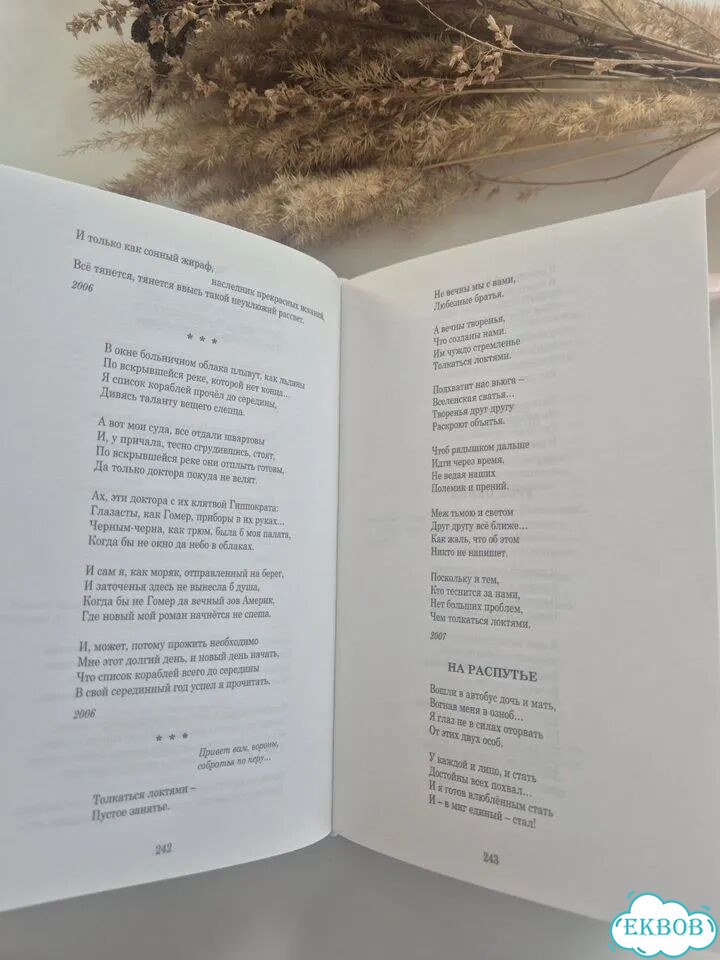 Книга Александра Кердана «Подробности жизни» фото 2