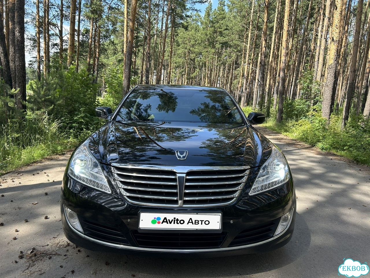 Hyundai Equus 3.8 AT, 2015, 175 000 км фото 3