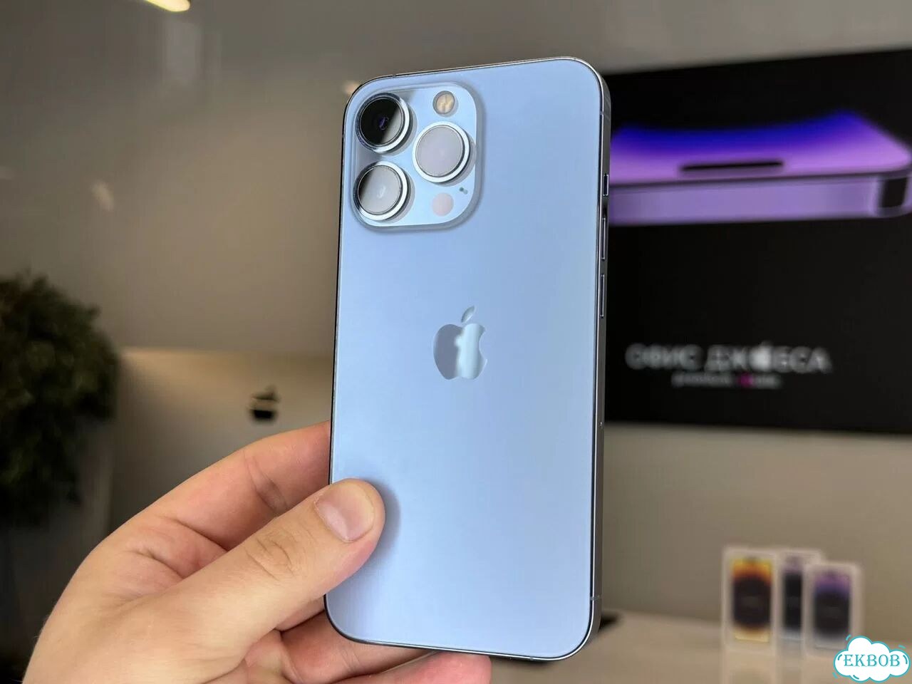 iPhone 13 Pro, 256 ГБ фото 2