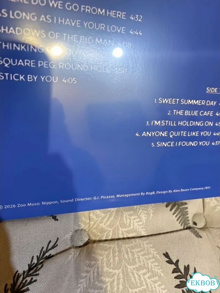 Chris Rea – The Blue cafe винил,lp фото 8